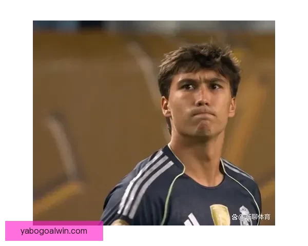 2026年世界杯足球赛：全球盛宴开启，16强争霸新纪元